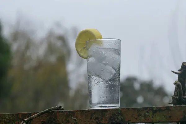 Gin Tonik Koktajl Plasterka Cytryny — Zdjęcie stockowe