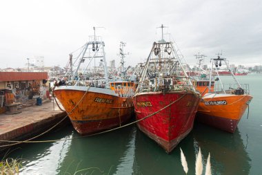 Mar del Plata limanında balıkçı gemileri