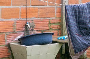 Karanlık bir masadaki hayvan kabuğu yumuşakça