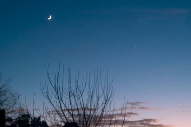 Manzara Ağaçlar ve ay gün batımında