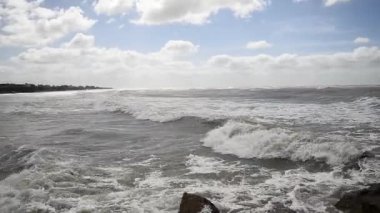 Sinekkuşu avludaki kırmızı bir yemlikten nektar içiyor.