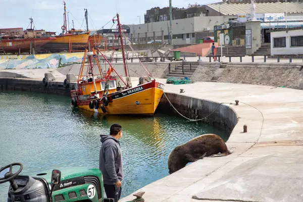 stock image Fishing boats docked in the harbour