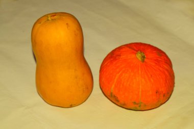 Sarı ve kırmızı balkabakları sarı bir masada