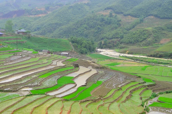 越南西北部老开省萨帕区旱季稻田的空中景观 — 图库照片
