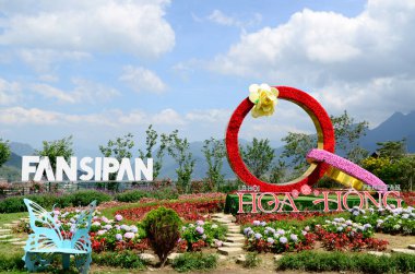 SAPA, VİETNAM - 16 MAY 2023 FANSIPAN EFENLİĞİNDE GARDEN gülleri, SAPA, LAO CAI, VİETNAM.