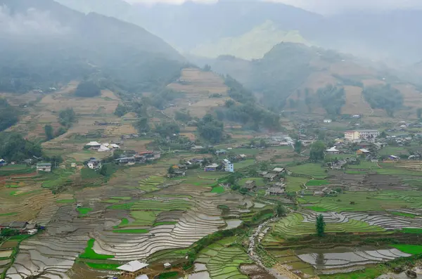 Luchtfoto Van Rijstterrassen Het Regenseizoen Sapa District Provincie Lao Cai — Stockfoto
