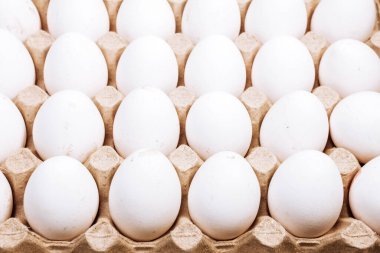 Yumurta tepsisinde bir sürü beyaz yumurta.