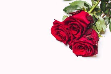 Beyaz arka planda üç kırmızı gül, üst manzara