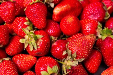 Siyah zemin üzerinde su damlaları olan bir sürü taze çilek.