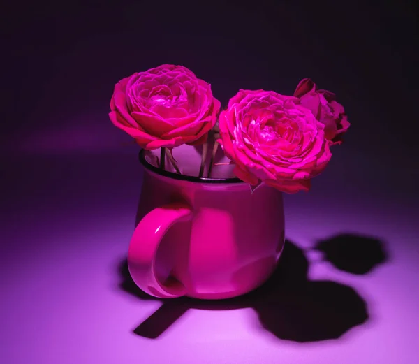 Still life with roses in pink light