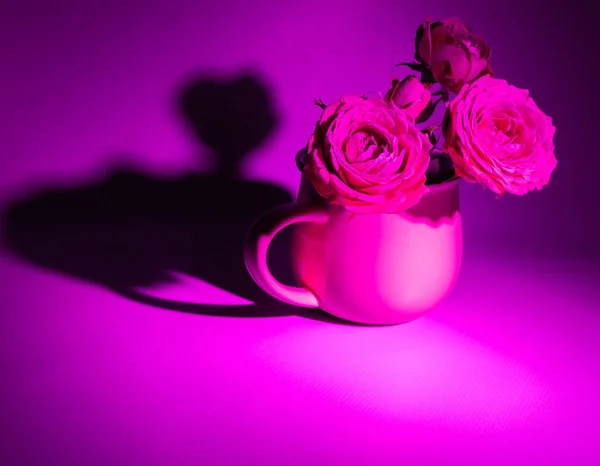 Still life with roses in pink light