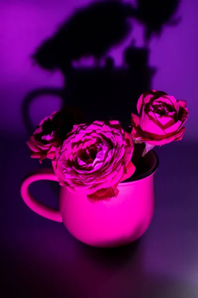 Natureza Morta Com Rosas Luz Rosa — Fotografia de Stock