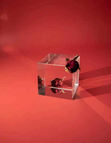 Composición Con Cubo Vidrio Flores Rosas Secas — Foto de Stock
