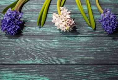 Sümbül çiçekli ahşap arkaplan