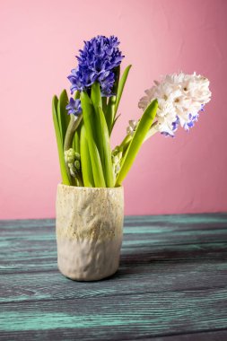 Bir vazoda sümbül çiçek