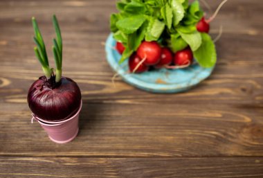 Erken bahar sebzeleri. Tabakta soğan ve turp var.