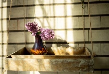 Vazoda güneş ışığı altında leylak dalı