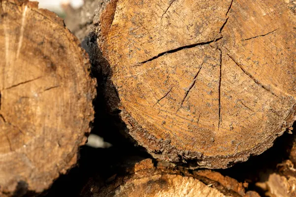 Ahşap kütüklerin yakın plan görüntüsü