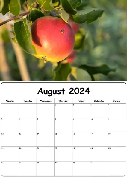 Ağustos 2024 için doğa çekimi takvimi