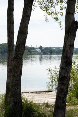 Göle ağaçların arasından bir görünümünü