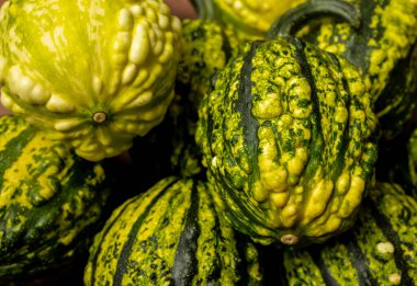 Dekoratif balkabaklarının yakın plan görüntüsü