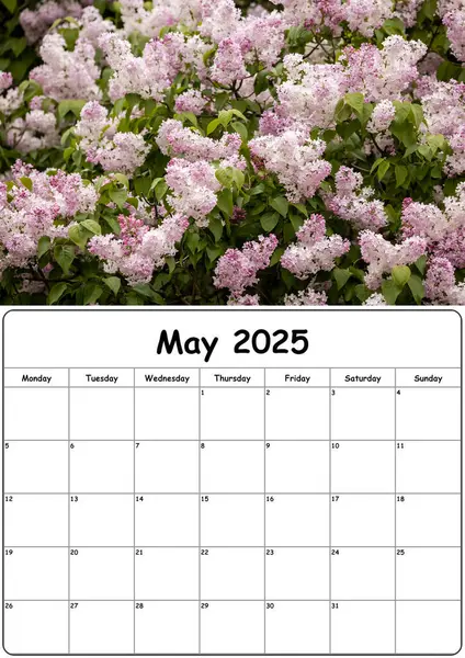 Mayıs 2025 için bir takvim