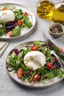 Plates with arugula and spinach salad with fresh cherry tomatoes and italian fresh cheese burrata with balsamic vinegar dressing on a light grey concrete background
