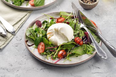 Plates with arugula and spinach salad with fresh cherry tomatoes and italian fresh cheese burrata with balsamic vinegar dressing on a light grey concrete background