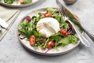 Plates with arugula and spinach salad with fresh cherry tomatoes and italian fresh cheese burrata with balsamic vinegar dressing on a light grey concrete background