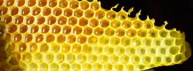 honeycombs filled with honey, natural sweetnes