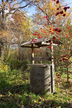 Sonbahar kırsal arazisi, viburnum çalılığı eski bir wel yakınlarında.