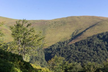 Karpatlar 'da yaz manzarası, dağ sıraları, güneşli da