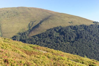 Karpatlar 'da yaz manzarası, dağ sıraları, güneşli da