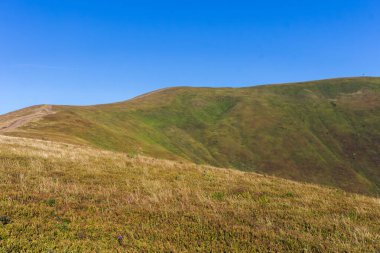 Karpatlar 'da yaz manzarası, dağ sıraları, güneşli da