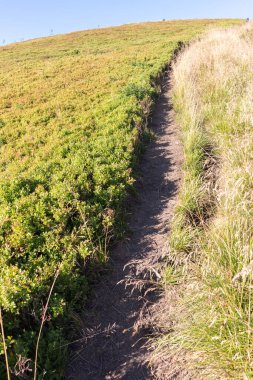 Karpatlar 'da yaz manzarası, dağ sıraları, güneşli da