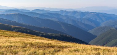 Karpatlar 'da yaz manzarası, dağ sıraları, güneşli da