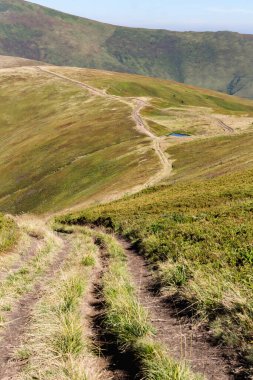 Karpatlar 'da yaz manzarası, dağ sıraları, güneşli da