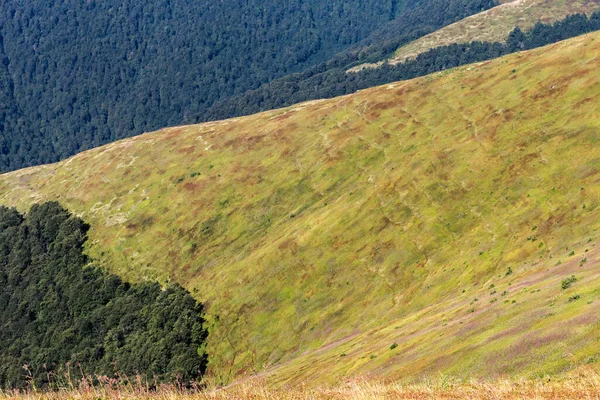 Karpatlar Yaz Manzarası Dağ Sıraları Güneşli — Stok fotoğraf