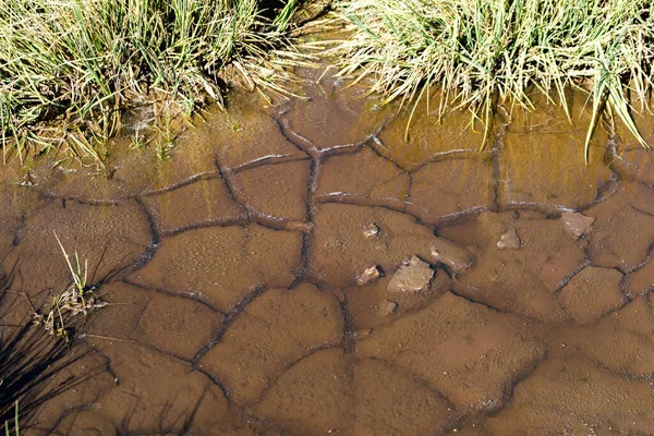 Cracks Bottom Lake Summer Heat — Stock Photo, Image
