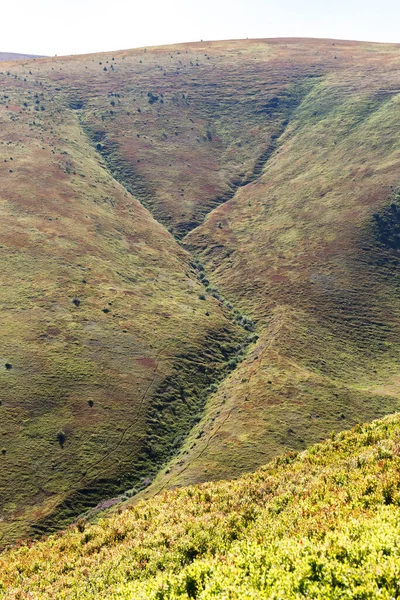 カルパチア山脈の夏の風景晴れDa — ストック写真