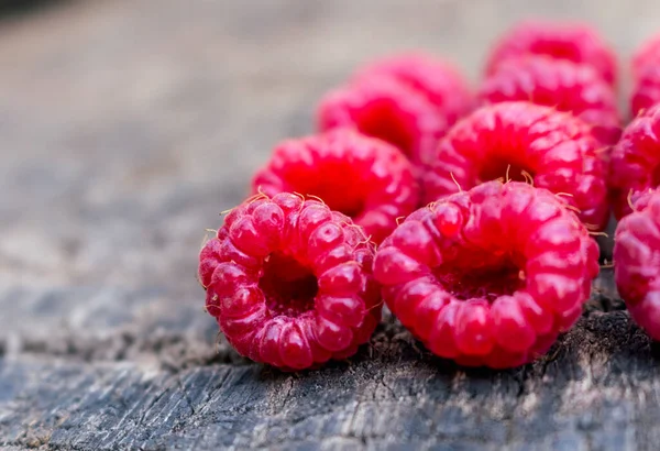 Ripe Raspberries Close Red Color Background Old Tre — Stock Photo, Image