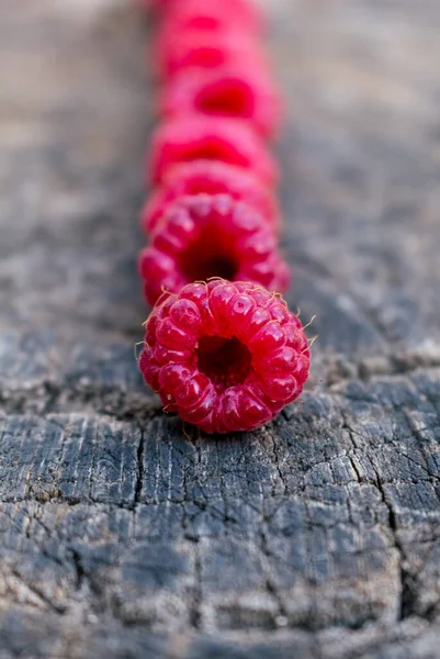 stock image ripe raspberries close-up, red color on the background of an old tre