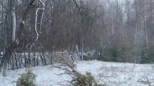 Neve Vento Jardim Uma Árvore Velha Uma Cerca Ruínas — Vídeo de Stock