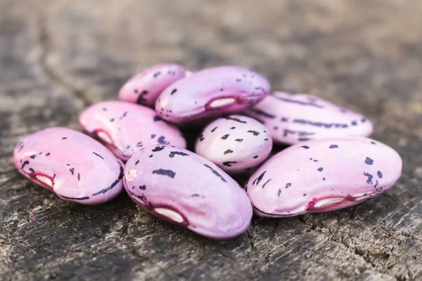 large purple beans closeup , vegetarian foo