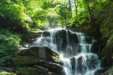 Karpatlar 'da bir dağ deresinde çağlayan şelale.