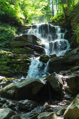 Karpatlar 'da bir dağ deresinde çağlayan şelale.