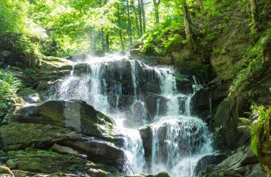 Karpatlar 'da bir dağ deresinde çağlayan şelale.