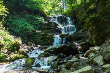 Karpatlar 'da bir dağ deresinde çağlayan şelale.
