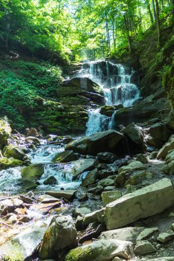Karpatlar 'da bir dağ deresinde çağlayan şelale.