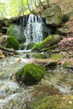 Karpatlar 'da bir dağ deresinde çağlayan şelale.